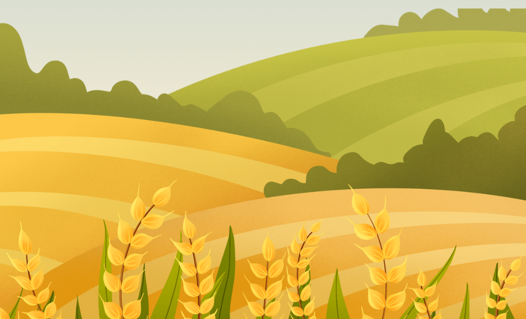 MYMATCH surveys to support climate‑resilient food safety