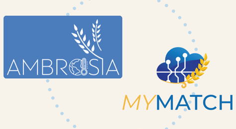 MYMATCH and AMBROSIA Join Forces to Strengthen Europe’s Food Safety in a Changing Climate