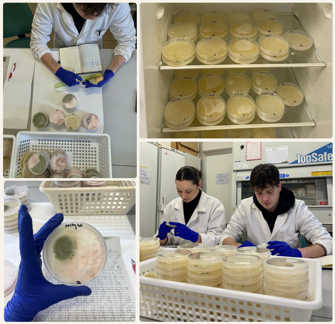 WP6 update: new ecological data to support more robust and biologically grounded predictive models