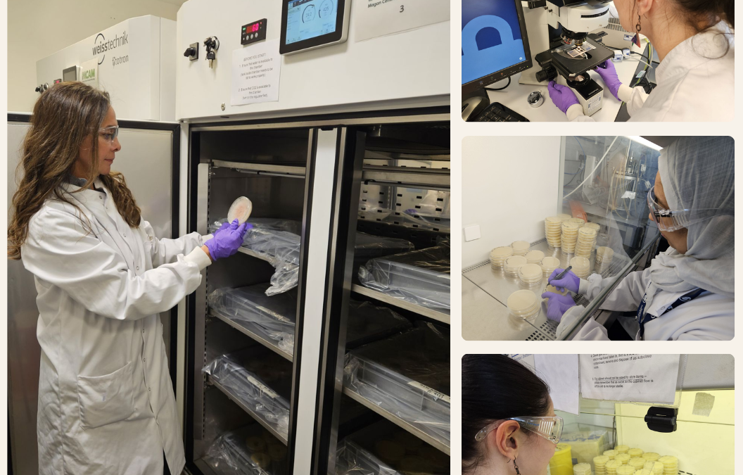 Analysing the impact of climate change related environmental factors on fungal ecology and physiology